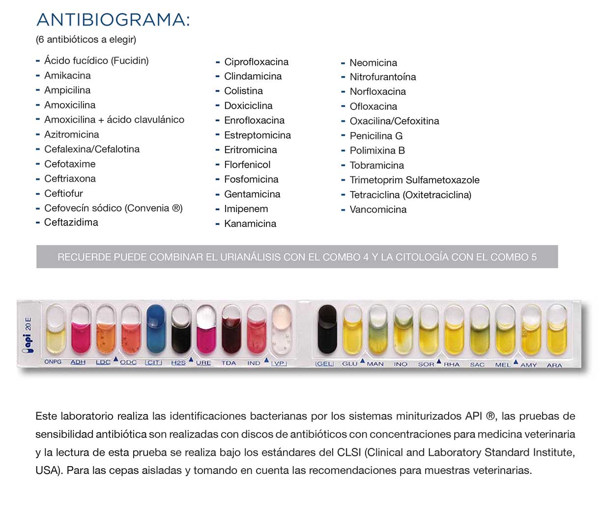 antibiograma-txt