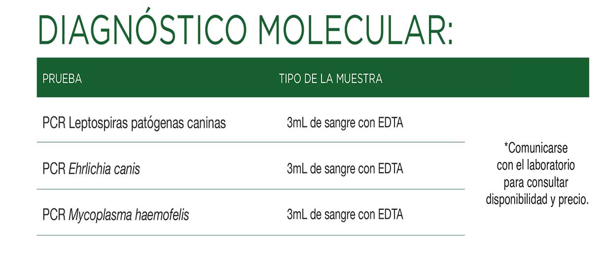 diag-molecular-txt