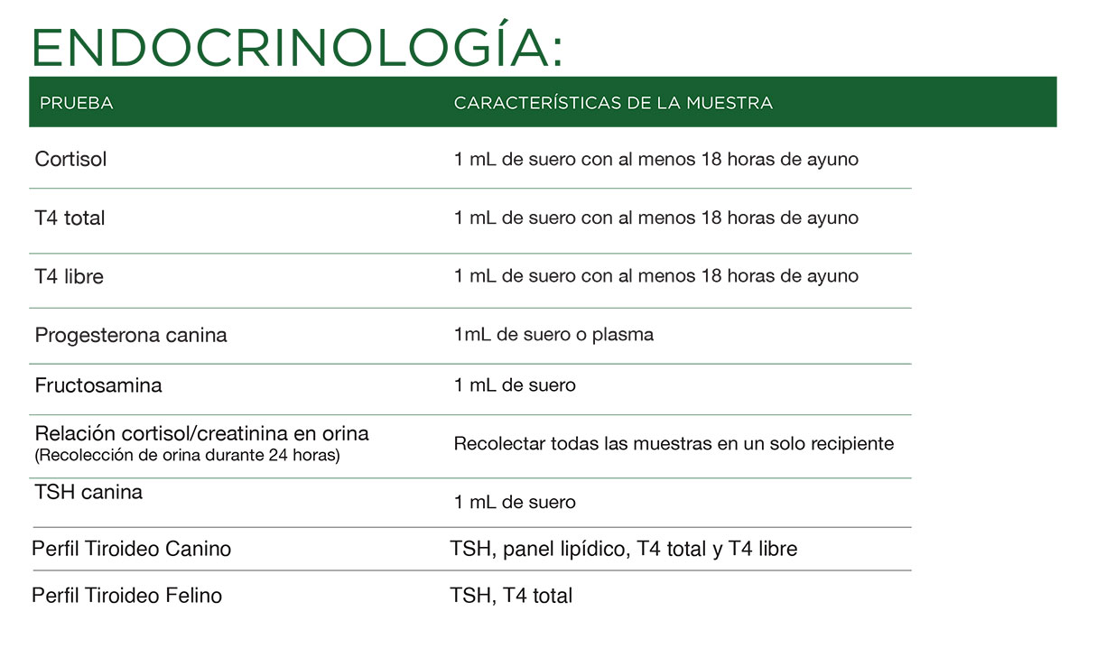endocrinologia-txt