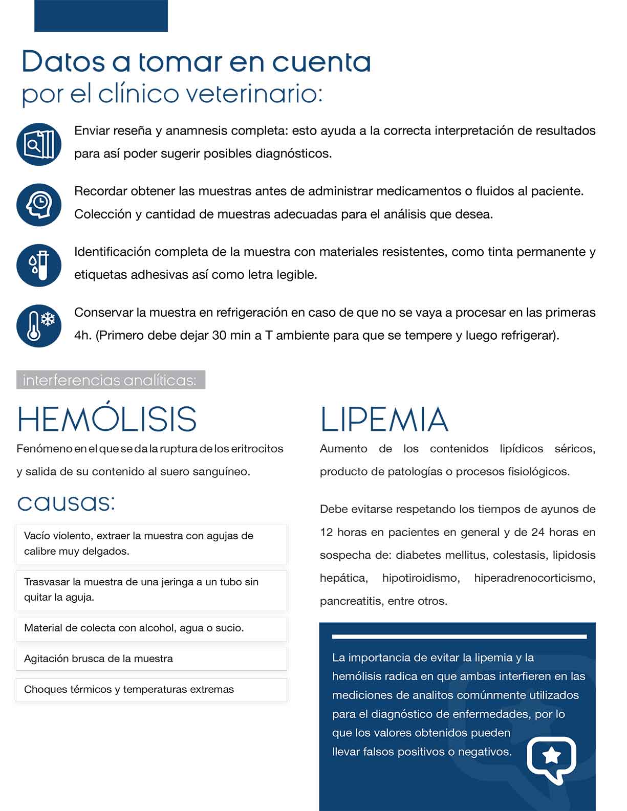 recomendaciones-txt